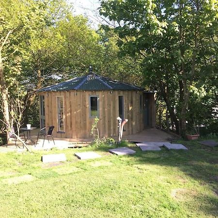 The Roundhouse - Unique Space Nestled In The Trees Begelly Extérieur photo