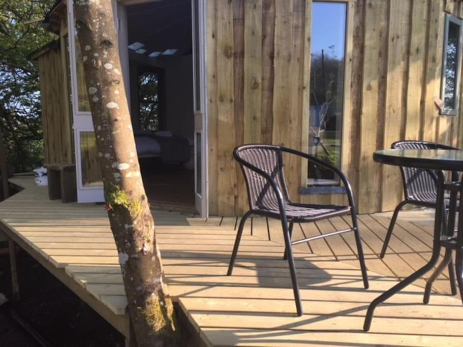 The Roundhouse - Unique Space Nestled In The Trees Begelly Extérieur photo